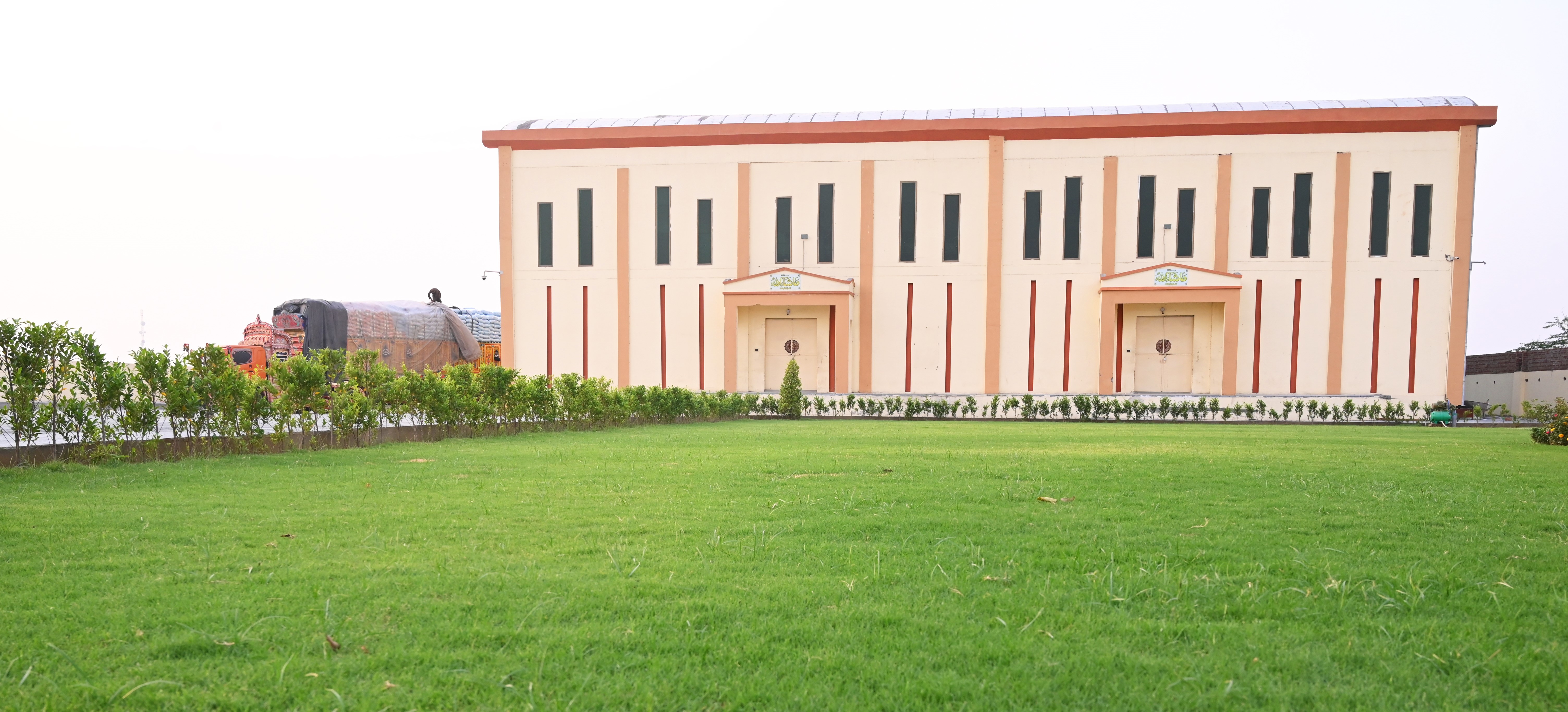 Brown Rice Varieties
